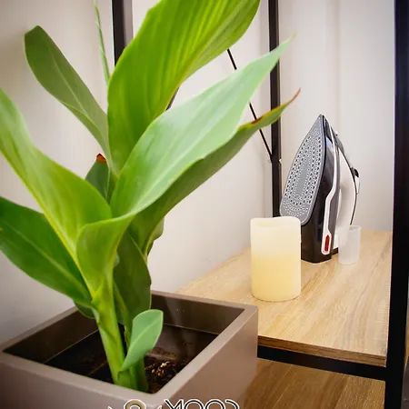 Apartment Polyane Expostudio Moodsolutions Living Thessaloniki